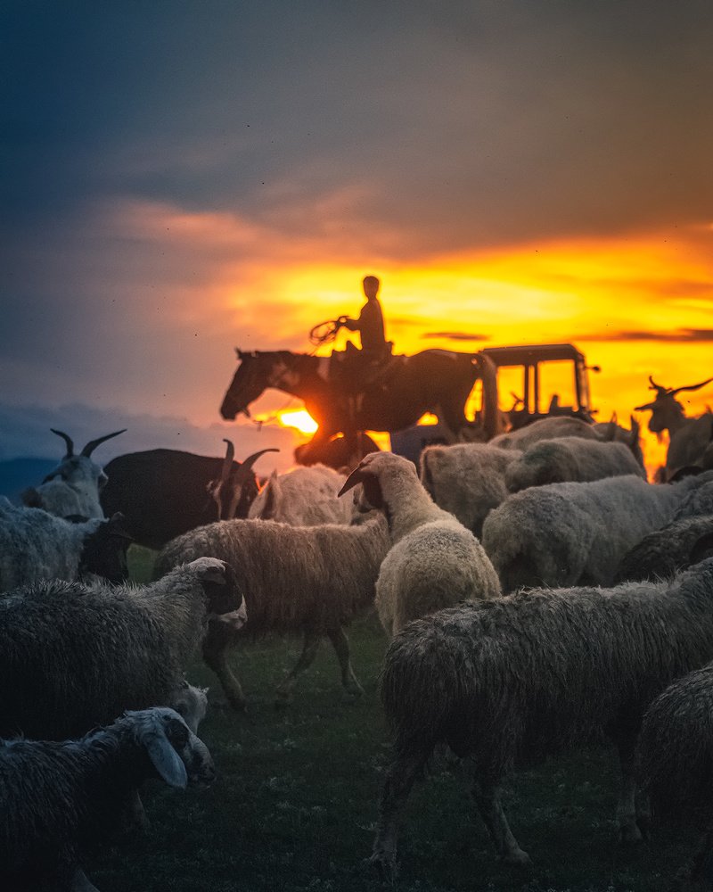 Photograph by Riddhi Debh