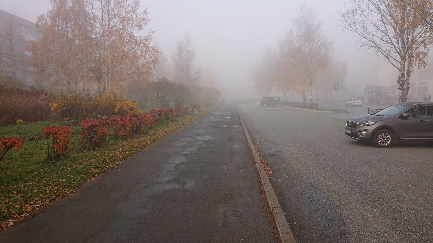 Photo #3963354