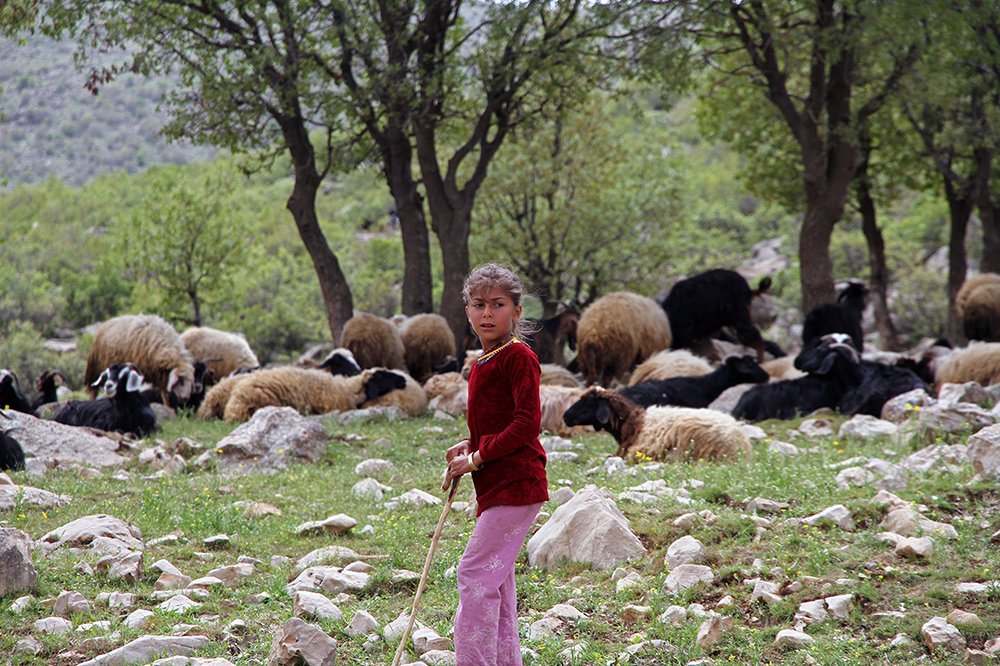 Фотография автора aryan nasrolahi