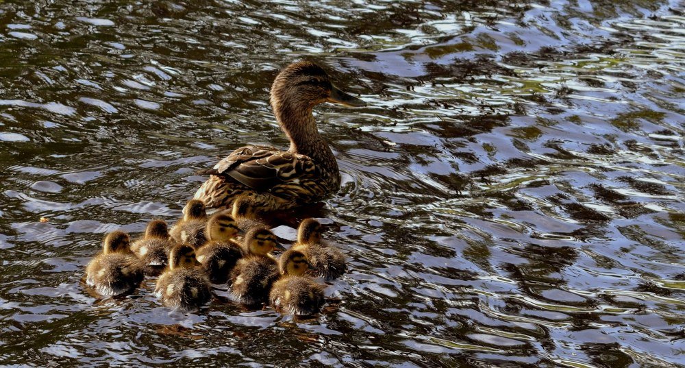 Photograph by Margarita Igolkina