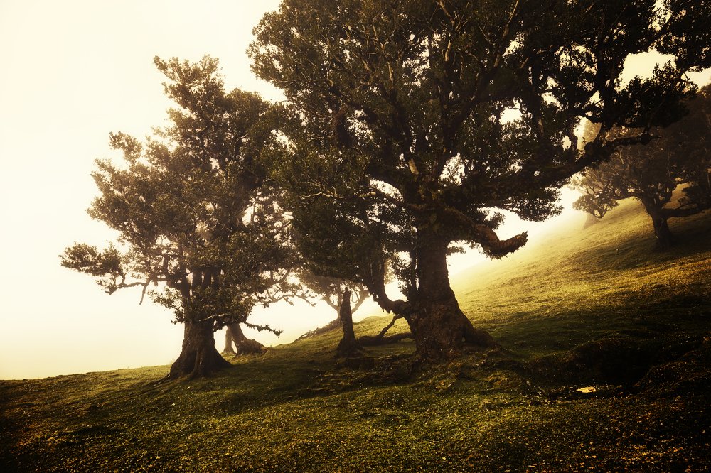 Photograph by Александр Боднар