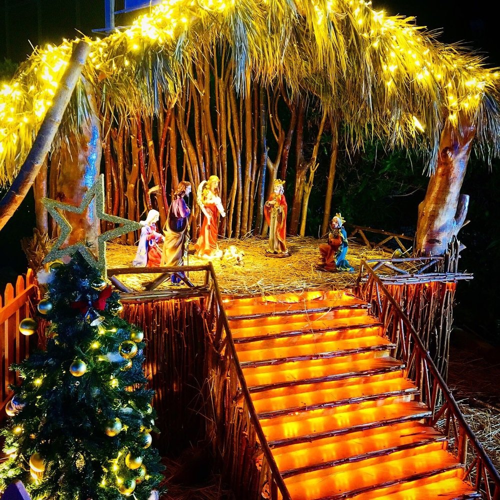 Photograph by Виктория Жуковская