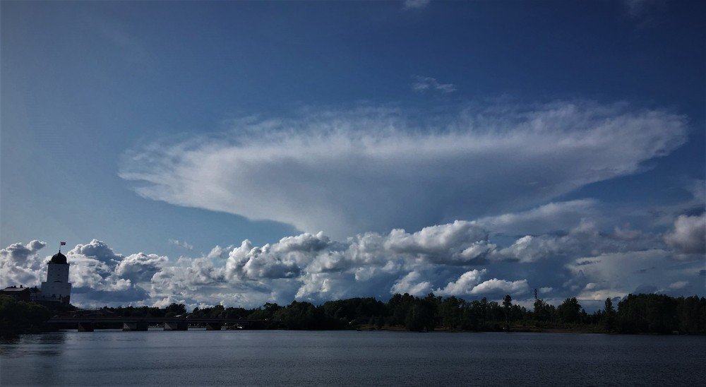 Photograph by Margarita Igolkina