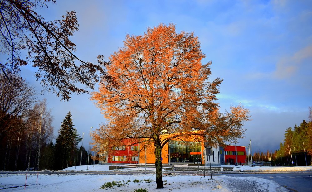 Photograph by Margarita Igolkina