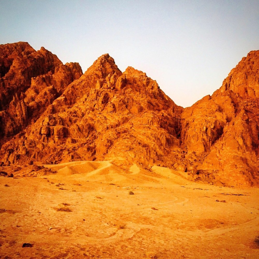 Photograph by Виктория Жуковская