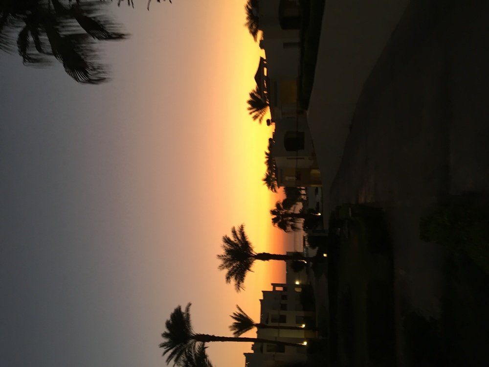 Photograph by Виктория Жуковская