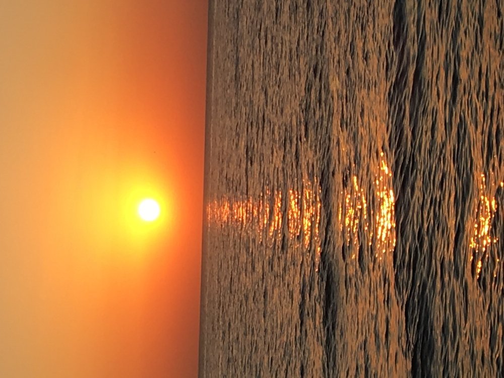 Photograph by Виктория Жуковская