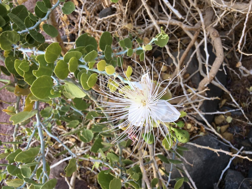 Photograph by Виктория Жуковская