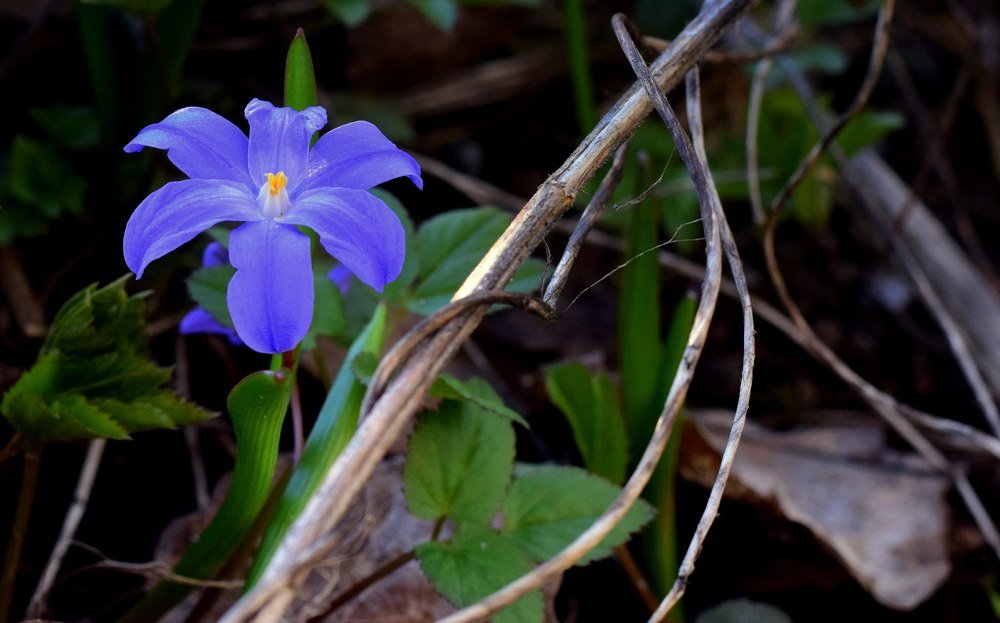Photograph by Margarita Igolkina