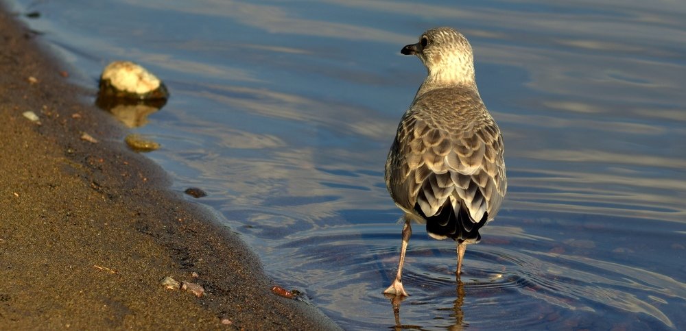 Photograph by Margarita Igolkina