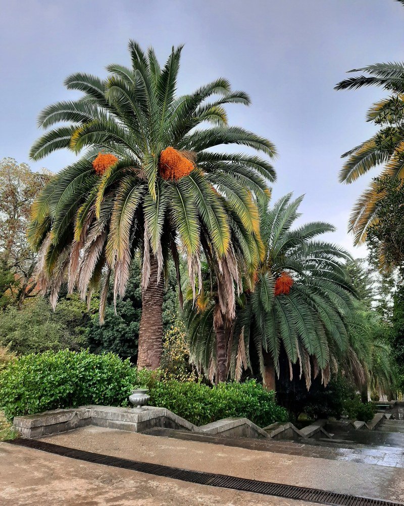 Photograph by Попова Елизавета Сергеевна