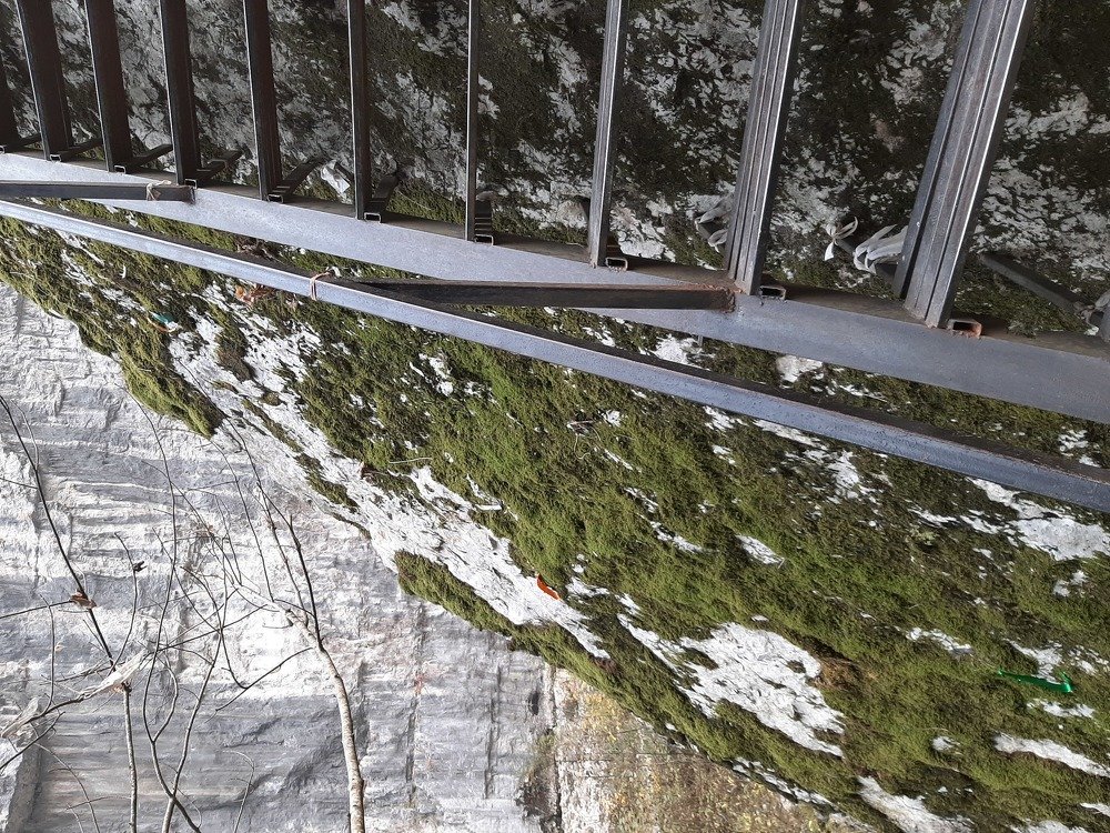 Photograph by Попова Елизавета Сергеевна