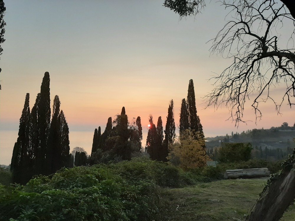 Photograph by Попова Елизавета Сергеевна