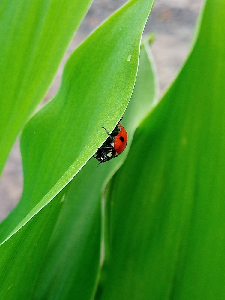 Побег от солнца и дождя.