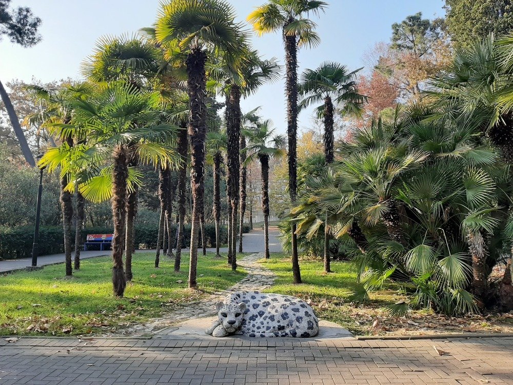 Photograph by Попова Елизавета Сергеевна