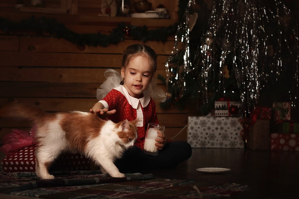 Photograph by Анастасия Мещерякова