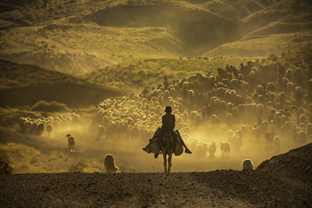 Photograph by Lokman Demir