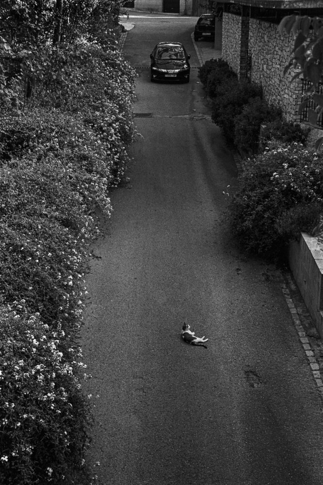 Photograph by Александр