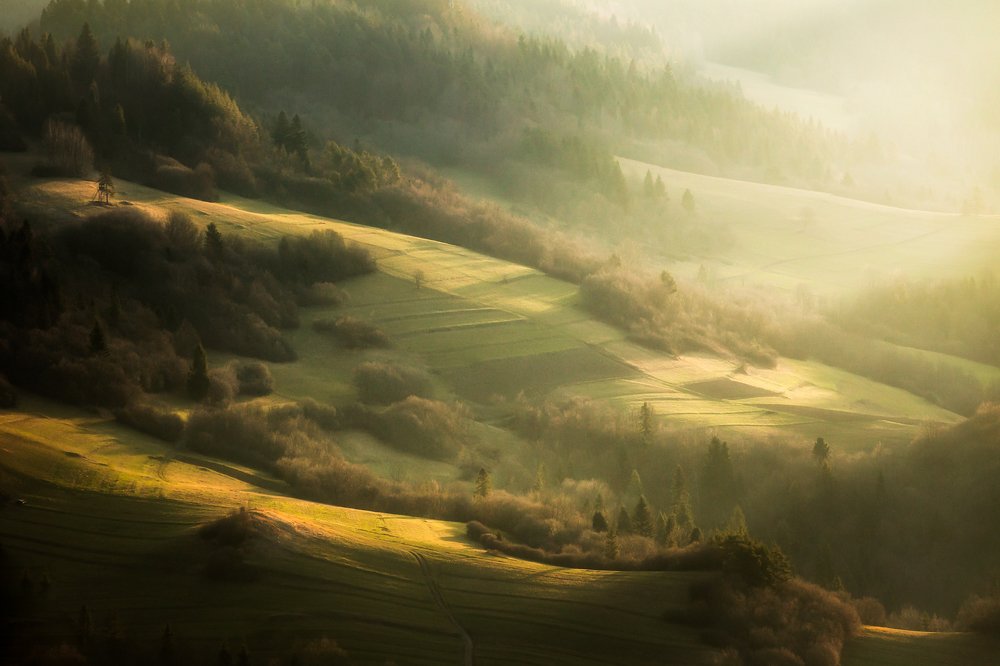 Photograph by Figat Marcin