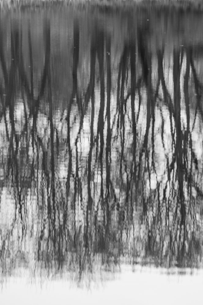 Photograph by Протасова Елена