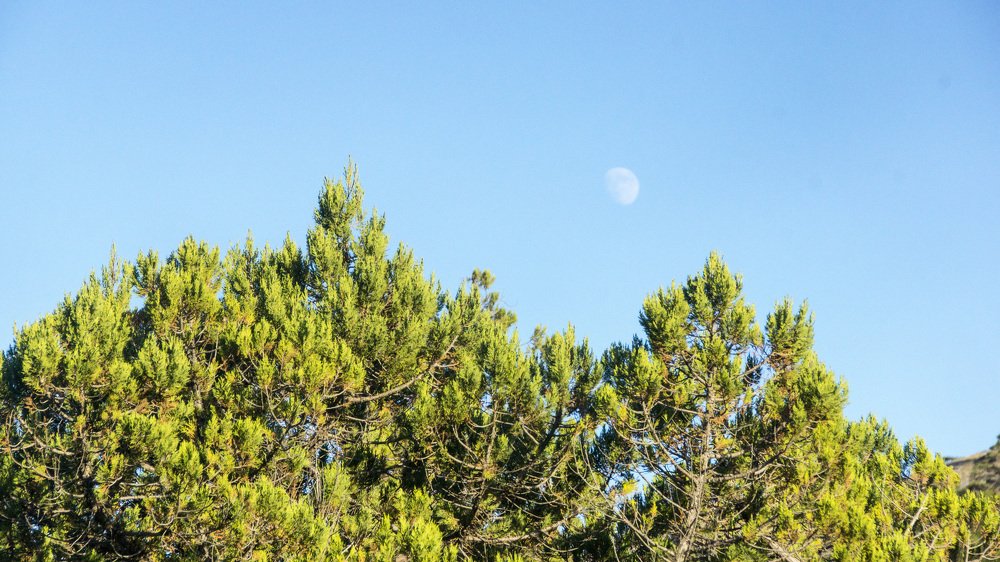 Photograph by вадим аврахов