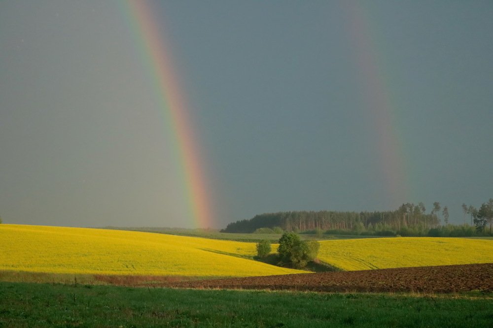 Радужные качели