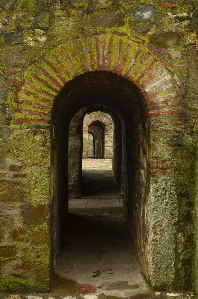 Photograph by Пилишенко Евгений