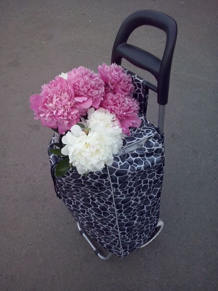 Дорожная зарисовка