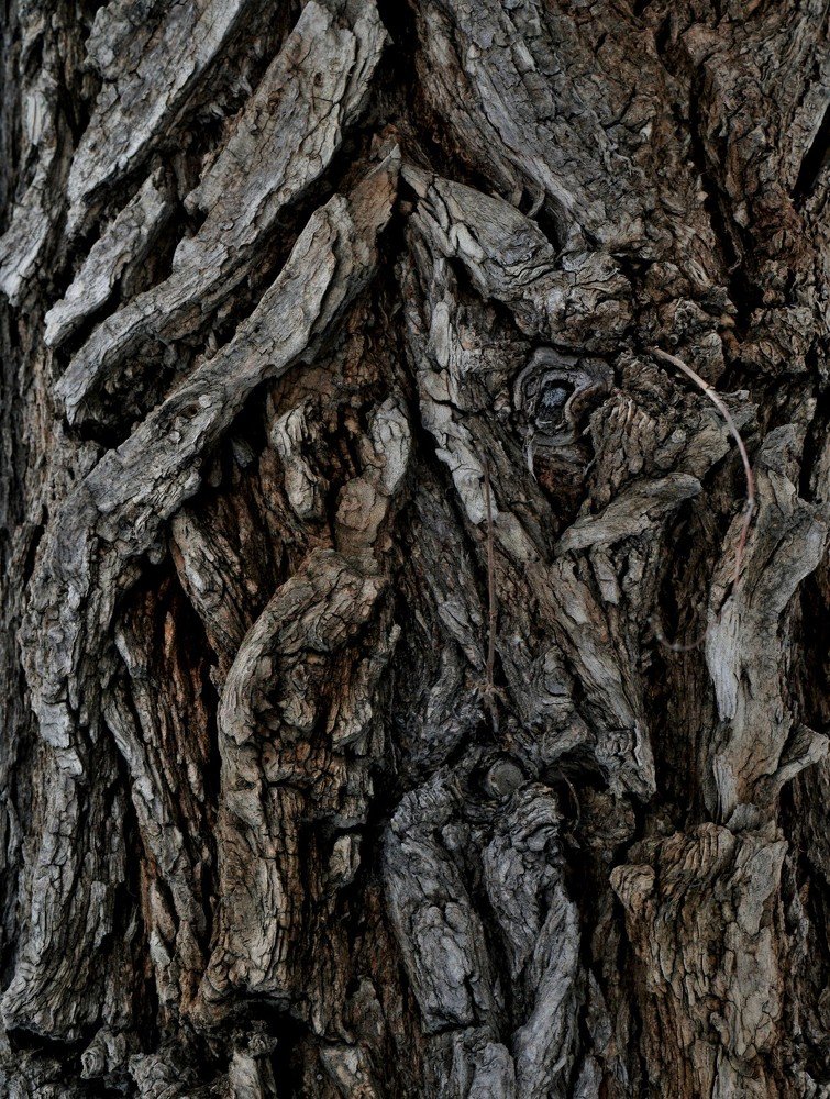 Photograph by Наталия Маслова