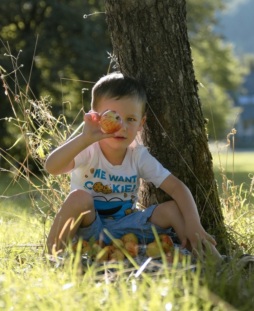 Photograph by Julia Reiner