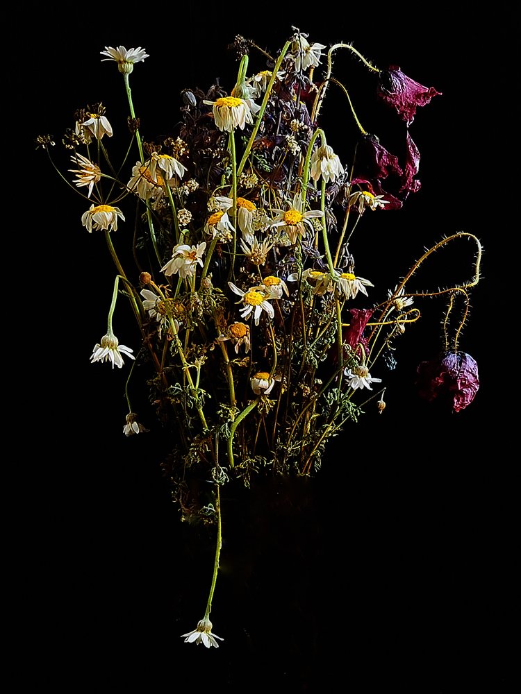 Photograph by Sonja Rora