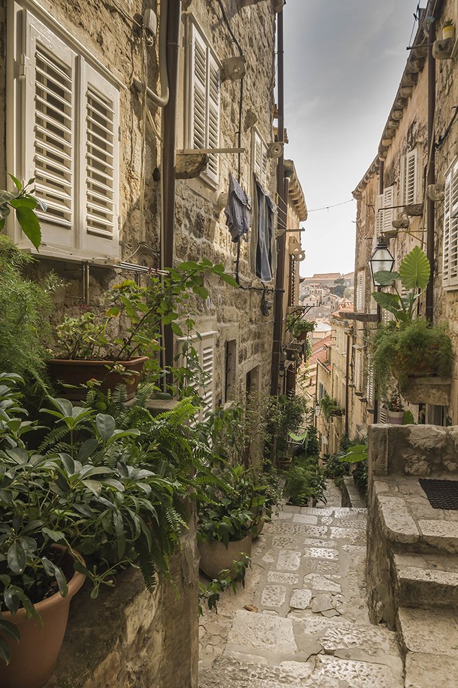 Фотография автора Milena Ivanova