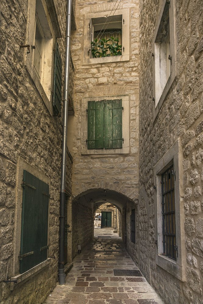 Фотография автора Milena Ivanova