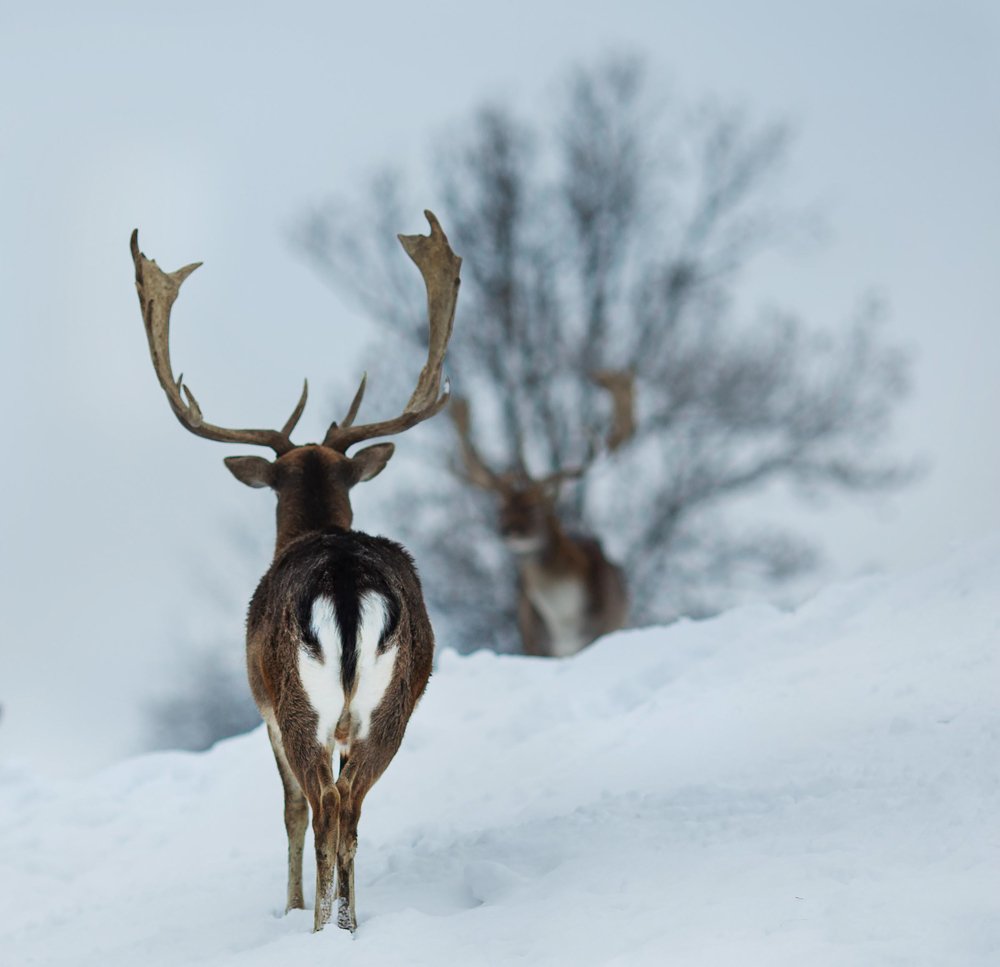 Photograph by Lina Gorelova