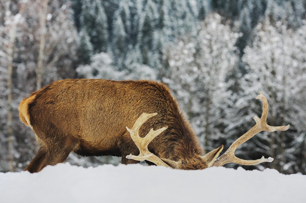 Photograph by Lina Gorelova