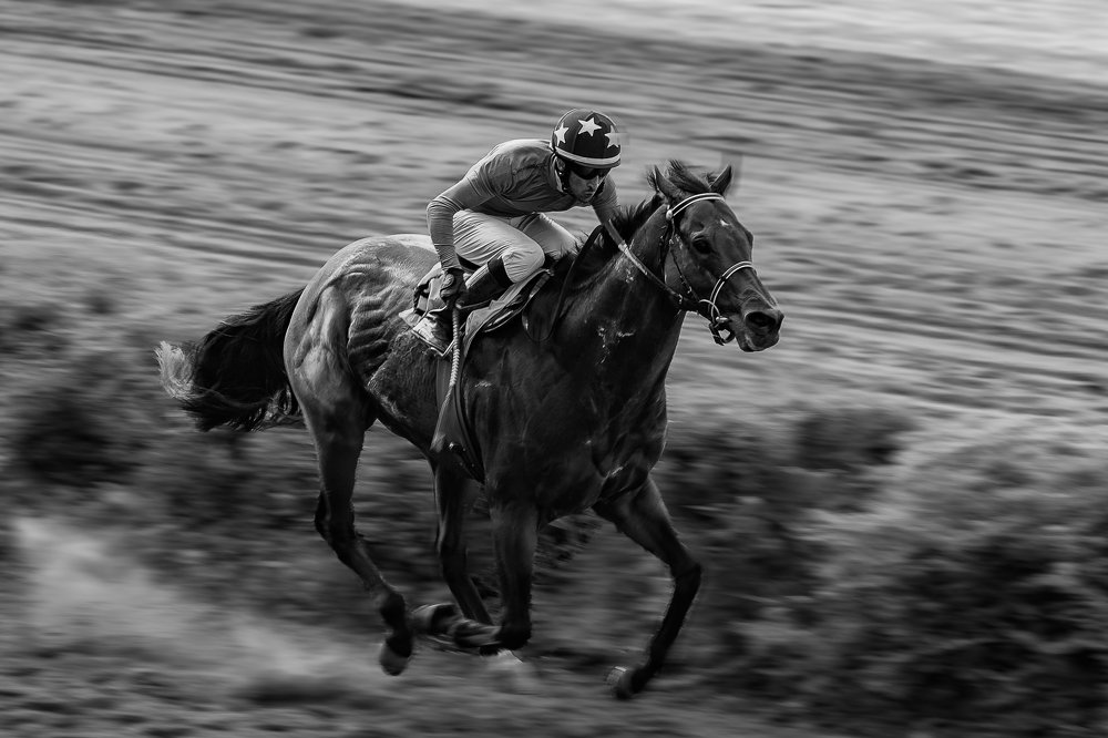 Скачки. Ростовский ипподром 2019