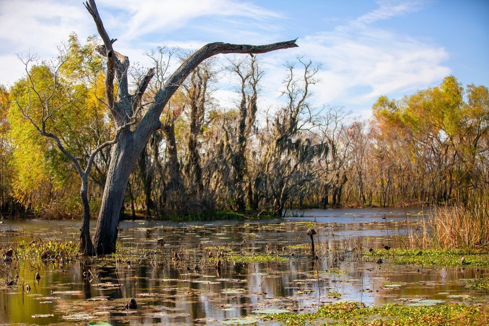 Photograph by Vugar B