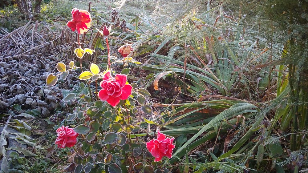 Фотография автора Александр Осинцев