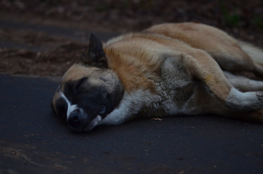 Photograph by Дмитрий Беликов