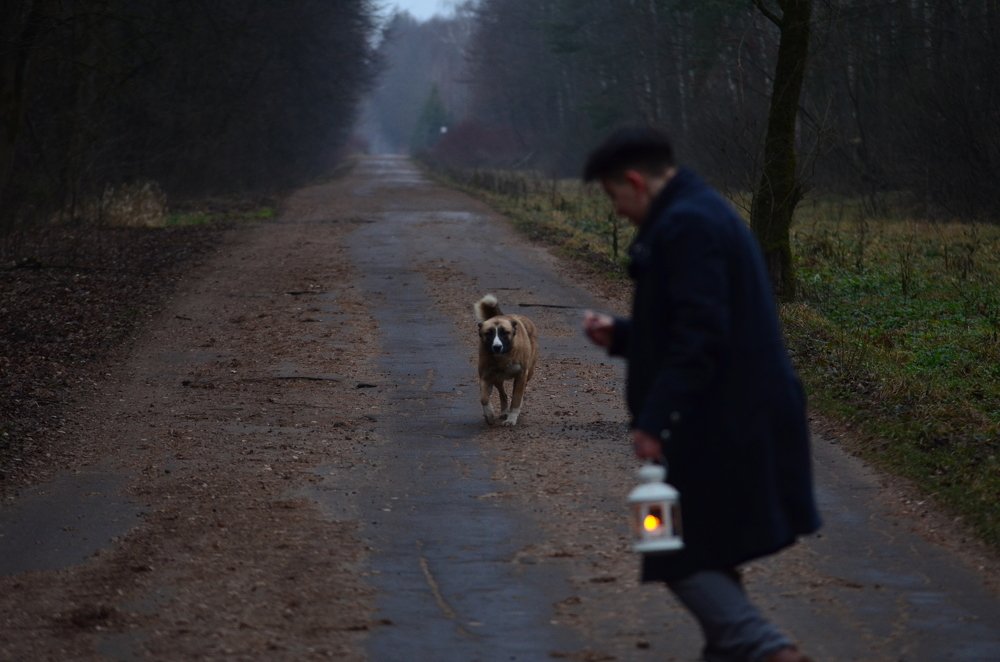 Photograph by Дмитрий Беликов