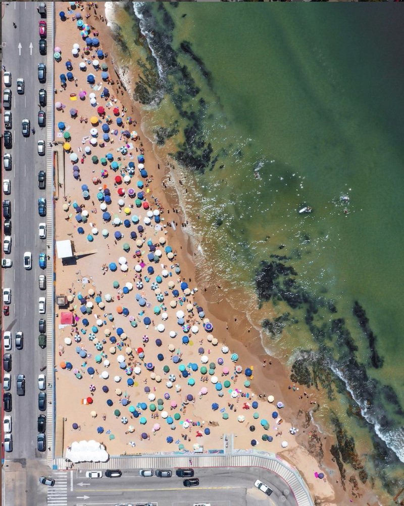 Photograph by Nicole