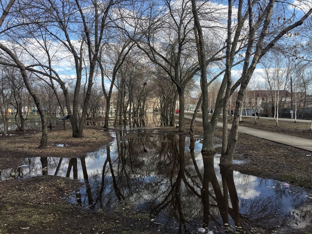 Photograph by Ирина Курочкина