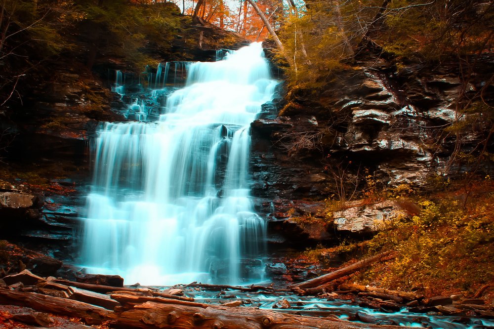 Photograph by Stephen