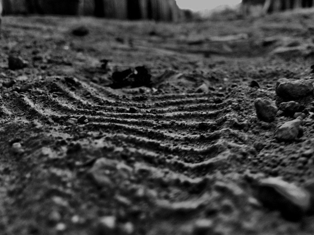 Photograph by Talib Mohammed
