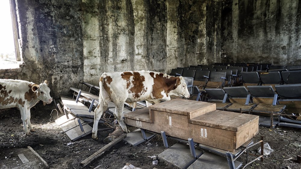 Фотография автора Степан Давыдов