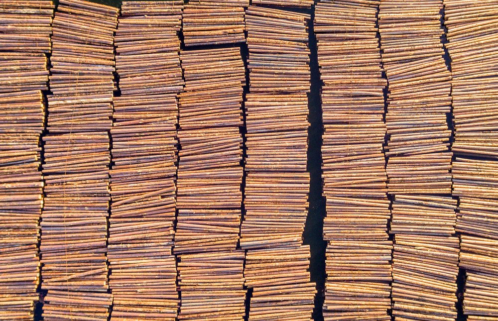 Фотография автора Андрей Логвинович