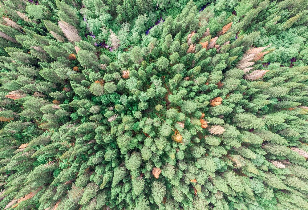 Фотография автора Андрей Логвинович