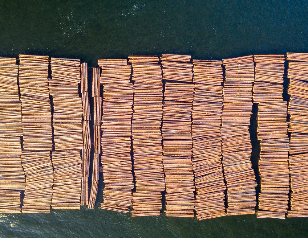 Фотография автора Андрей Логвинович