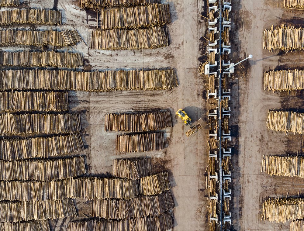 Фотография автора Андрей Логвинович