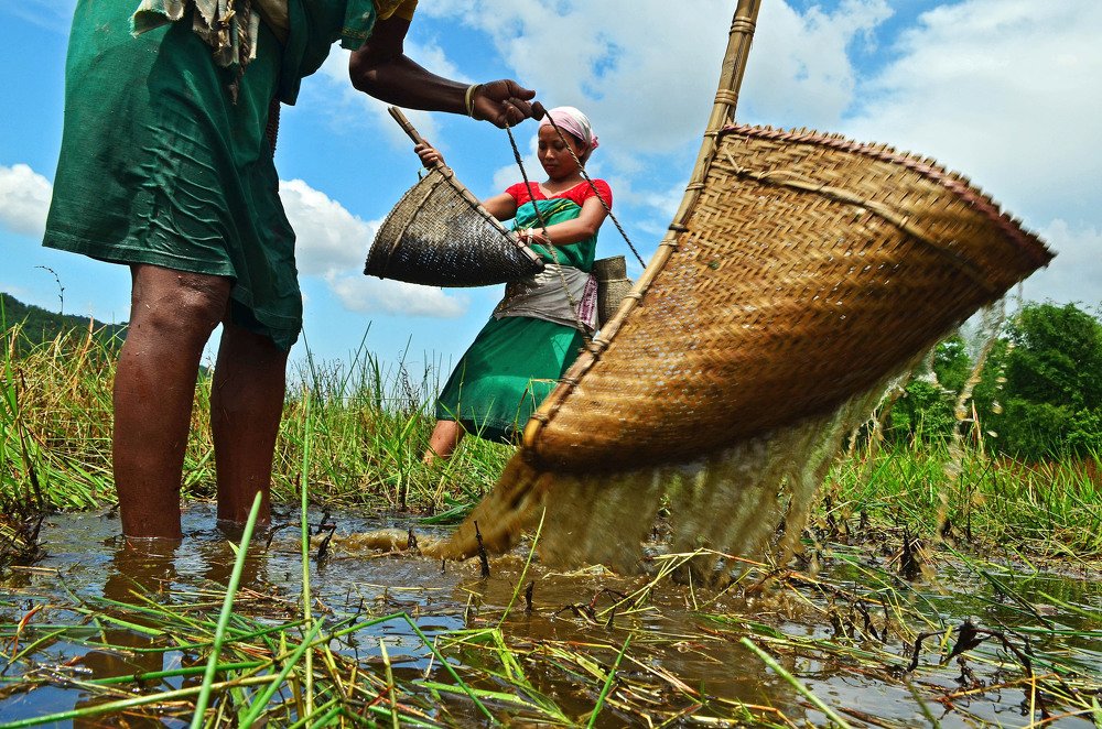 Фотография автора Sadiqur Rahman